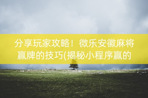 分享玩家攻略！微乐安徽麻将赢牌的技巧(揭秘小程序赢的秘诀)