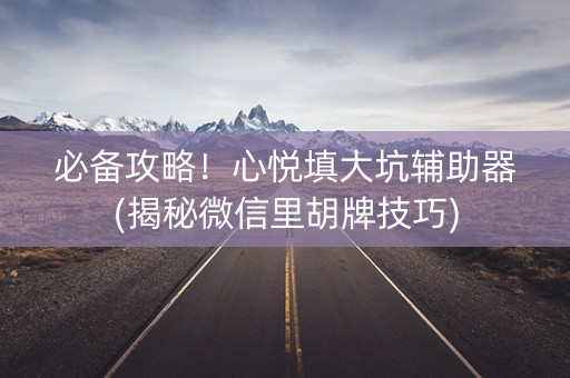 必备攻略！心悦填大坑辅助器(揭秘微信里胡牌技巧)