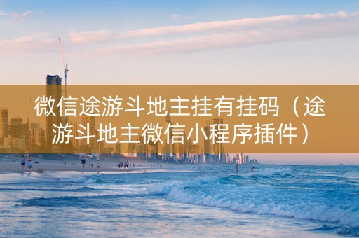 微信途游斗地主挂有挂码（途游斗地主微信小程序插件）