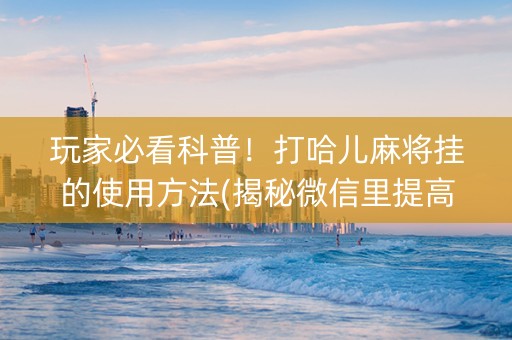 玩家必看科普！打哈儿麻将挂的使用方法(揭秘微信里提高胜率)