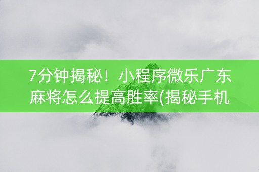 7分钟揭秘！小程序微乐广东麻将怎么提高胜率(揭秘手机上胡牌神器)