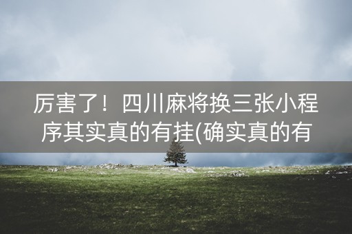 厉害了！四川麻将换三张小程序其实真的有挂(确实真的有挂)
