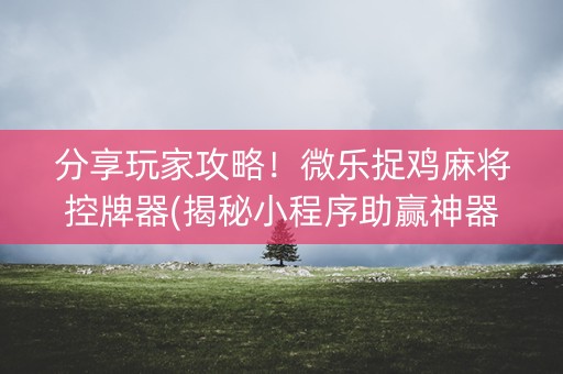 分享玩家攻略！微乐捉鸡麻将控牌器(揭秘小程序助赢神器购买)