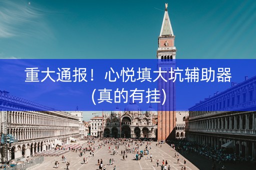 重大通报！心悦填大坑辅助器(真的有挂)