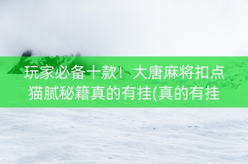 玩家必备十款！大唐麻将扣点猫腻秘籍真的有挂(真的有挂)