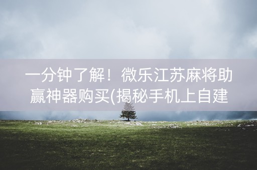 一分钟了解！微乐江苏麻将助赢神器购买(揭秘手机上自建房怎么赢)