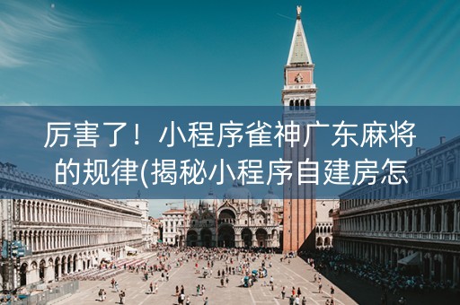 厉害了！小程序雀神广东麻将的规律(揭秘小程序自建房怎么赢)