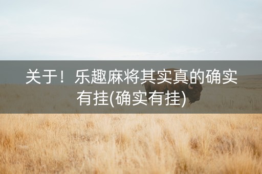 关于！乐趣麻将其实真的确实有挂(确实有挂)
