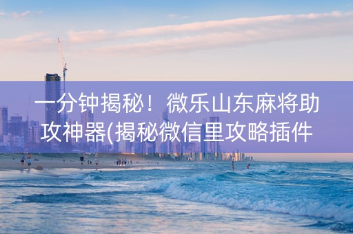 一分钟揭秘！微乐山东麻将助攻神器(揭秘微信里攻略插件)