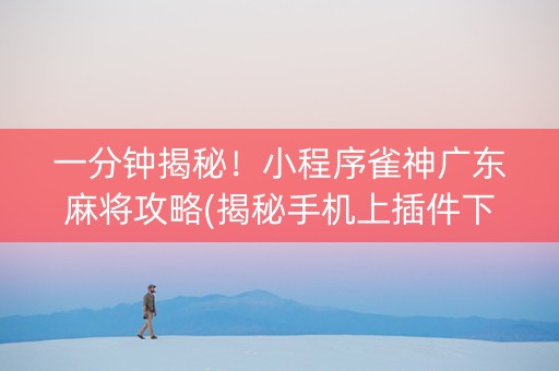 一分钟揭秘！小程序雀神广东麻将攻略(揭秘手机上插件下载)