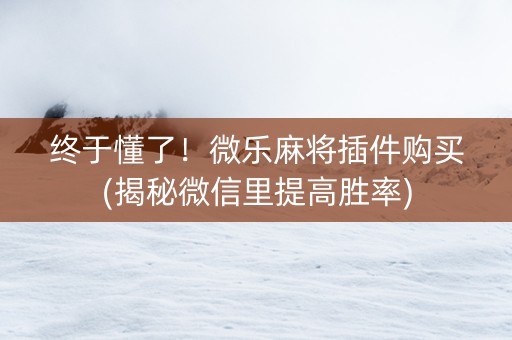 终于懂了！微乐麻将插件购买(揭秘微信里提高胜率)