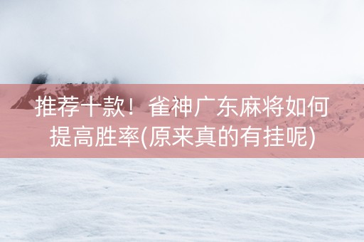 推荐十款！雀神广东麻将如何提高胜率(原来真的有挂呢)