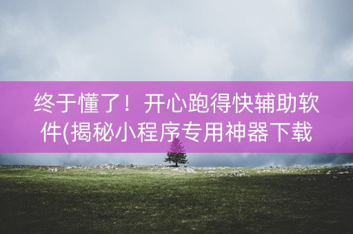 终于懂了！开心跑得快辅助软件(揭秘小程序专用神器下载)