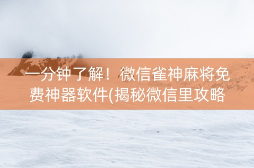 一分钟了解！微信雀神麻将免费神器软件(揭秘微信里攻略插件)