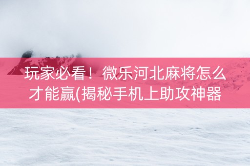 玩家必看！微乐河北麻将怎么才能赢(揭秘手机上助攻神器)