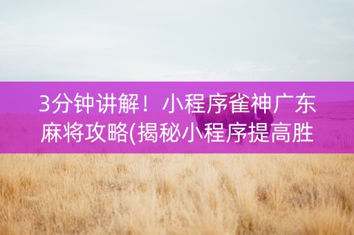 3分钟讲解！小程序雀神广东麻将攻略(揭秘小程序提高胜率)