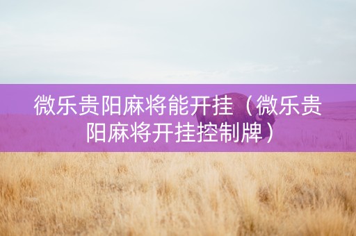 微乐贵阳麻将能开挂（微乐贵阳麻将开挂控制牌）