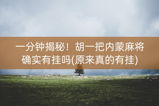 一分钟揭秘！胡一把内蒙麻将确实有挂吗(原来真的有挂)
