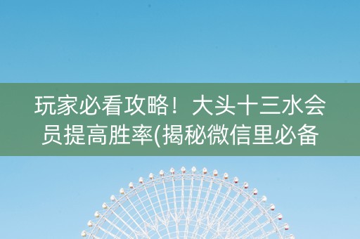玩家必看攻略！大头十三水会员提高胜率(揭秘微信里必备神器)