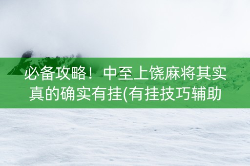 必备攻略！中至上饶麻将其实真的确实有挂(有挂技巧辅助器)