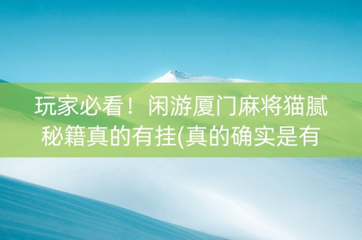 玩家必看！闲游厦门麻将猫腻秘籍真的有挂(真的确实是有挂)
