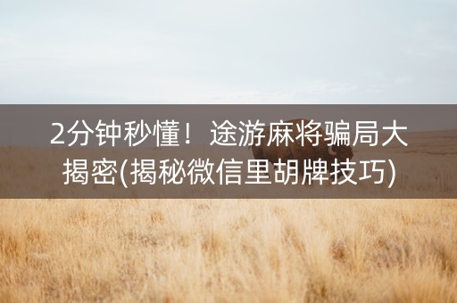 2分钟秒懂！途游麻将骗局大揭密(揭秘微信里胡牌技巧)