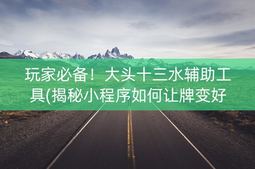 玩家必备！大头十三水辅助工具(揭秘小程序如何让牌变好)