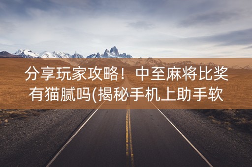 分享玩家攻略！中至麻将比奖有猫腻吗(揭秘手机上助手软件)
