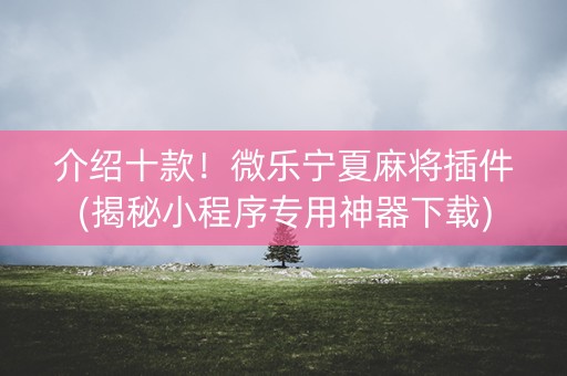 介绍十款！微乐宁夏麻将插件(揭秘小程序专用神器下载)