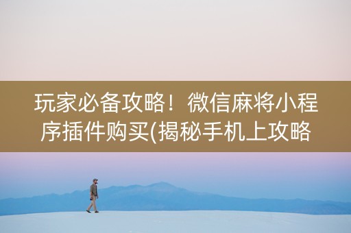 玩家必备攻略！微信麻将小程序插件购买(揭秘手机上攻略插件)