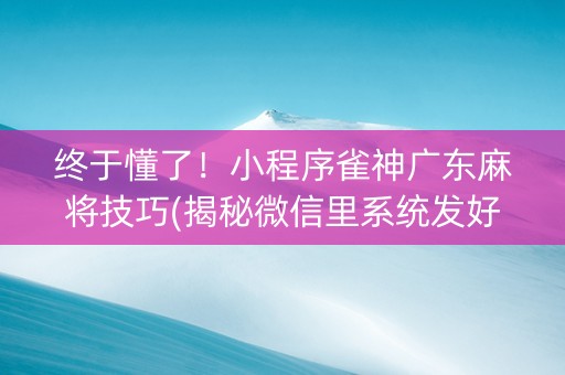 终于懂了！小程序雀神广东麻将技巧(揭秘微信里系统发好牌)