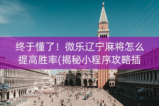 终于懂了！微乐辽宁麻将怎么提高胜率(揭秘小程序攻略插件)