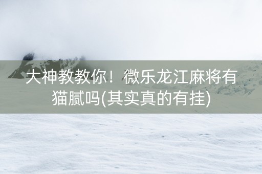 大神教教你！微乐龙江麻将有猫腻吗(其实真的有挂)