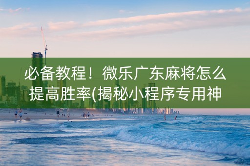 必备教程！微乐广东麻将怎么提高胜率(揭秘小程序专用神器)