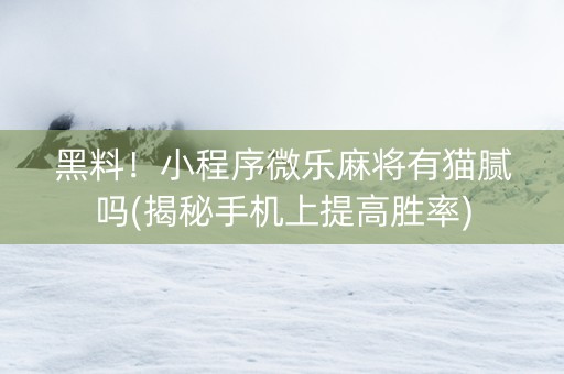 黑料！小程序微乐麻将有猫腻吗(揭秘手机上提高胜率)