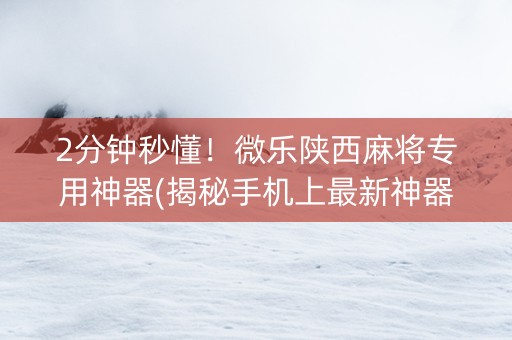 2分钟秒懂！微乐陕西麻将专用神器(揭秘手机上最新神器下载)