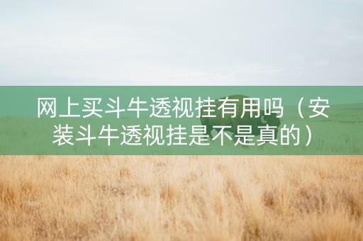网上买斗牛透视挂有用吗（安装斗牛透视挂是不是真的）