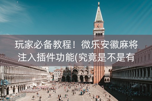 玩家必备教程！微乐安徽麻将注入插件功能(究竟是不是有挂)