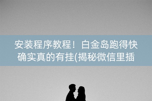 安装程序教程！白金岛跑得快确实真的有挂(揭秘微信里插件下载)