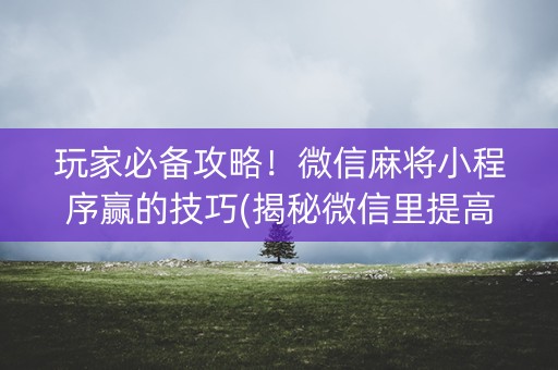 玩家必备攻略！微信麻将小程序赢的技巧(揭秘微信里提高胜率)