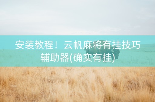 安装教程！云帆麻将有挂技巧辅助器(确实有挂)