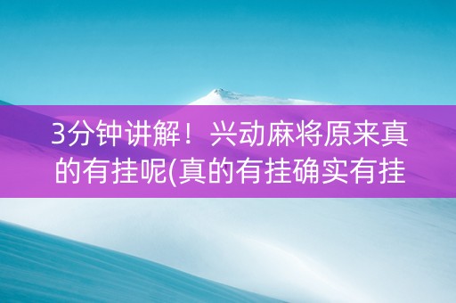 3分钟讲解！兴动麻将原来真的有挂呢(真的有挂确实有挂)