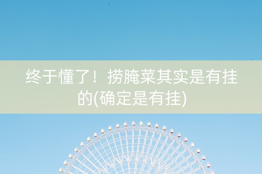 终于懂了！捞腌菜其实是有挂的(确定是有挂)