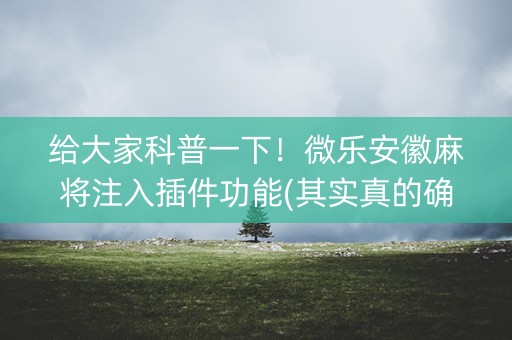 给大家科普一下！微乐安徽麻将注入插件功能(其实真的确实有挂)