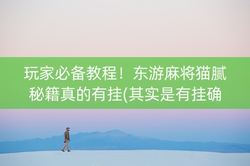 玩家必备教程！东游麻将猫腻秘籍真的有挂(其实是有挂确实有挂)