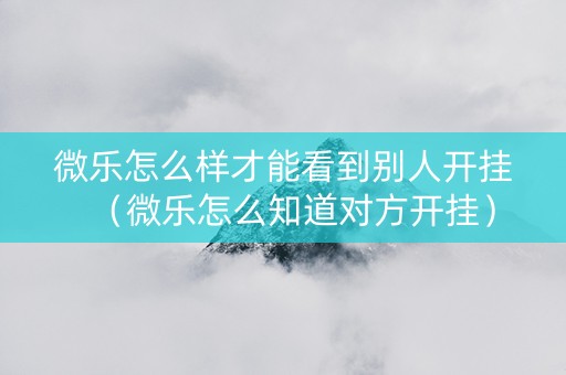微乐怎么样才能看到别人开挂（微乐怎么知道对方开挂）