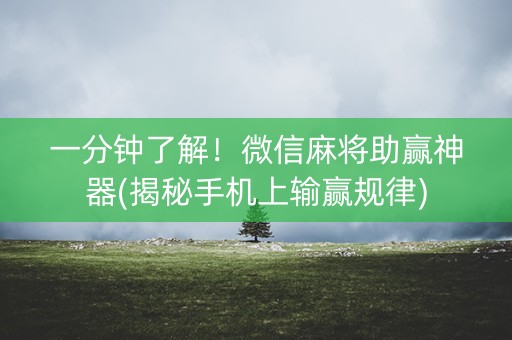 一分钟了解！微信麻将助赢神器(揭秘手机上输赢规律)