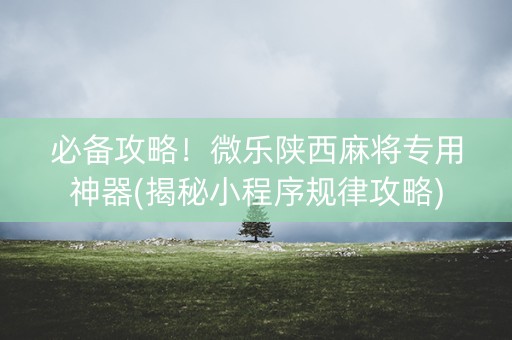 必备攻略！微乐陕西麻将专用神器(揭秘小程序规律攻略)