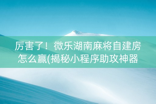 厉害了！微乐湖南麻将自建房怎么赢(揭秘小程序助攻神器)