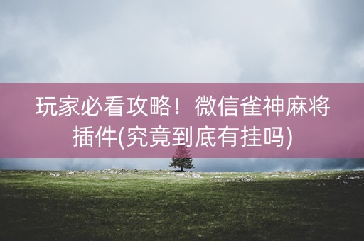 玩家必看攻略！微信雀神麻将插件(究竟到底有挂吗)